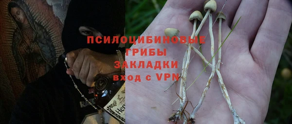 ешки Арсеньев
