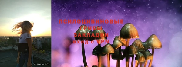 ешки Арсеньев