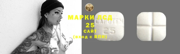 тгк Армянск