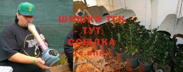 тгк Армянск