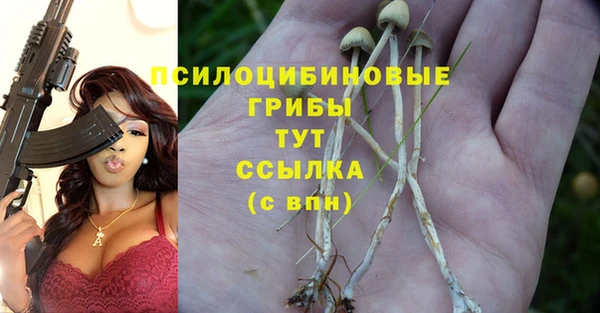 метадон Аркадак