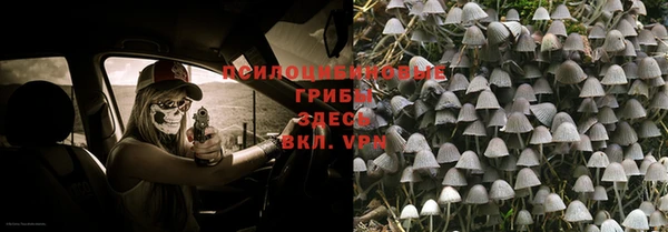 метадон Аркадак