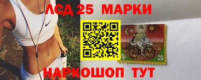 тгк Бийск