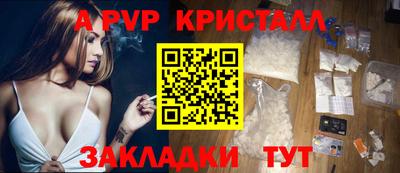 тгк Бийск