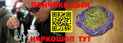 тгк Бийск
