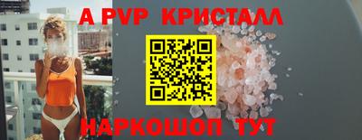 тгк Бийск