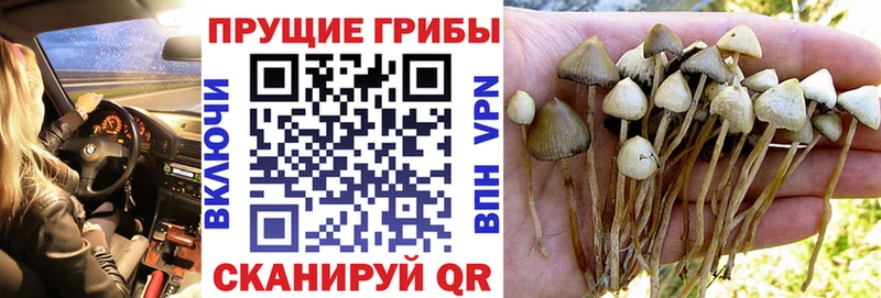 Псилоцибиновые грибы ЛСД  Бийск 