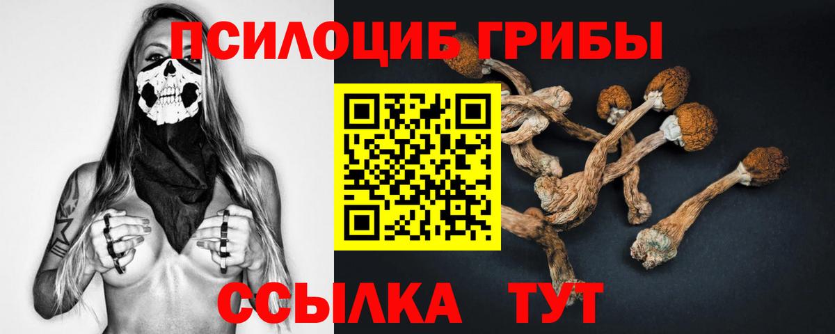 Галлюциногенные грибы ЛСД  Псилоцибиновые грибы Cubensis  Вход с VPN  Бийск 